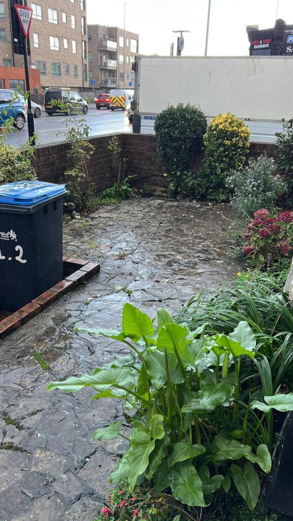 A site cleared and left tidy